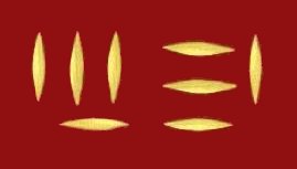 ana pasta rice macaroni