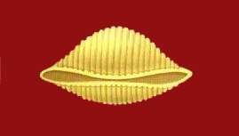 ana pasta shell macaroni